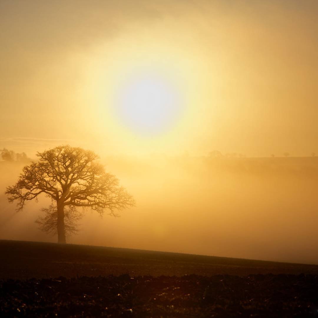 morning sun