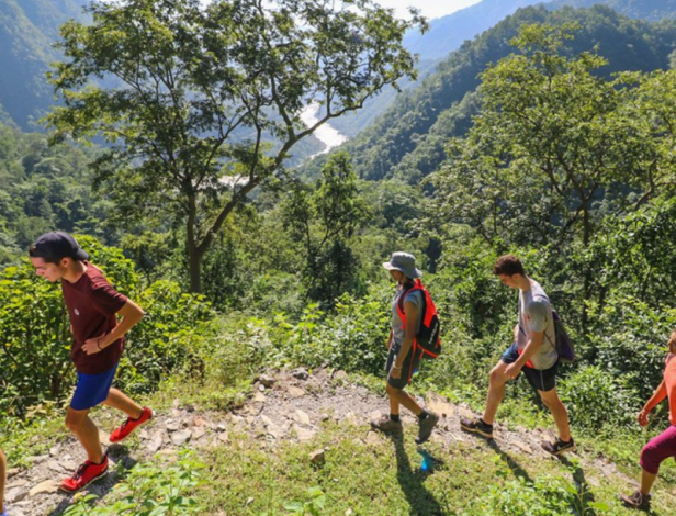 forest-hiking